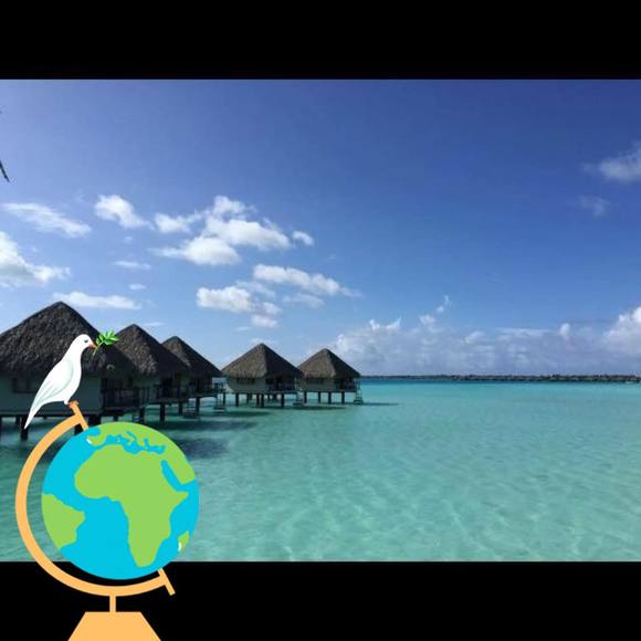 Meet your Posher, Cindy - Picture 1 of 1